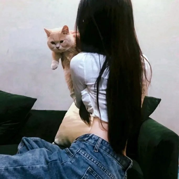 女仆心机 封面